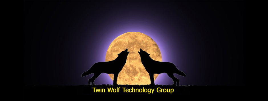 Twin Wolf Technology Group